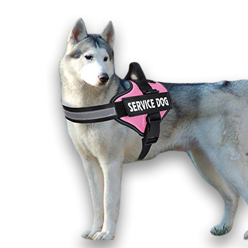 No Pull Dog Harness | Breathable Vest | Reflective Design | Adjustable Fit for Small to Large Dogs | Woofing Deals
