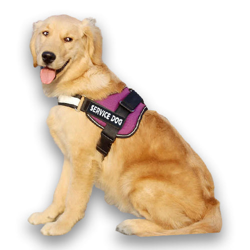 No Pull Dog Harness | Breathable Vest | Reflective Design | Adjustable Fit for Small to Large Dogs | Woofing Deals