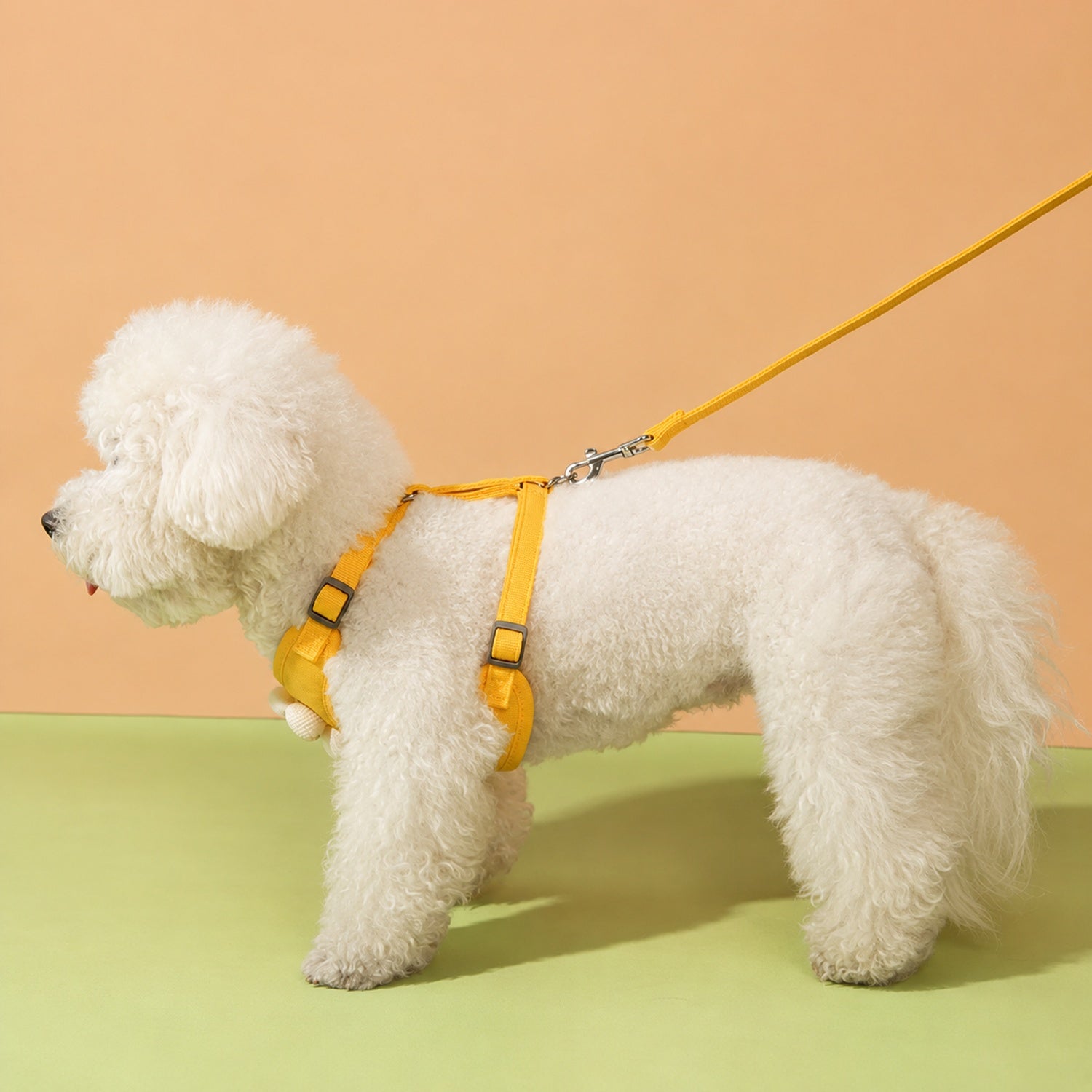 Daisy Dog Harness & Lead Set | Breathable Mesh | Adjustable Anti-Escape Fit