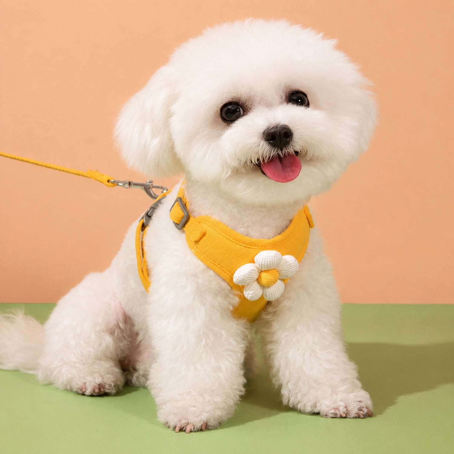Daisy Dog Harness & Lead Set | Breathable Mesh | Adjustable Anti-Escape Fit