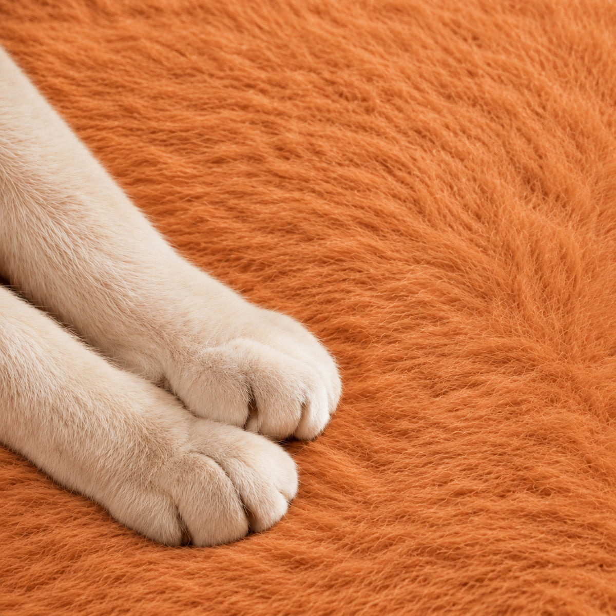 Pumpkin Cat Bed & Dog Bed | Cosy Winter Cave