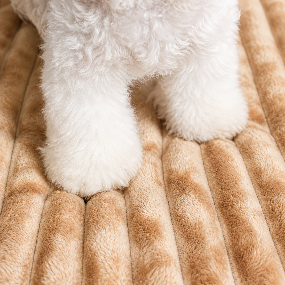 Dog Bed & Cat Bed | Convertible Plush Winter Nest | Hand-Washable