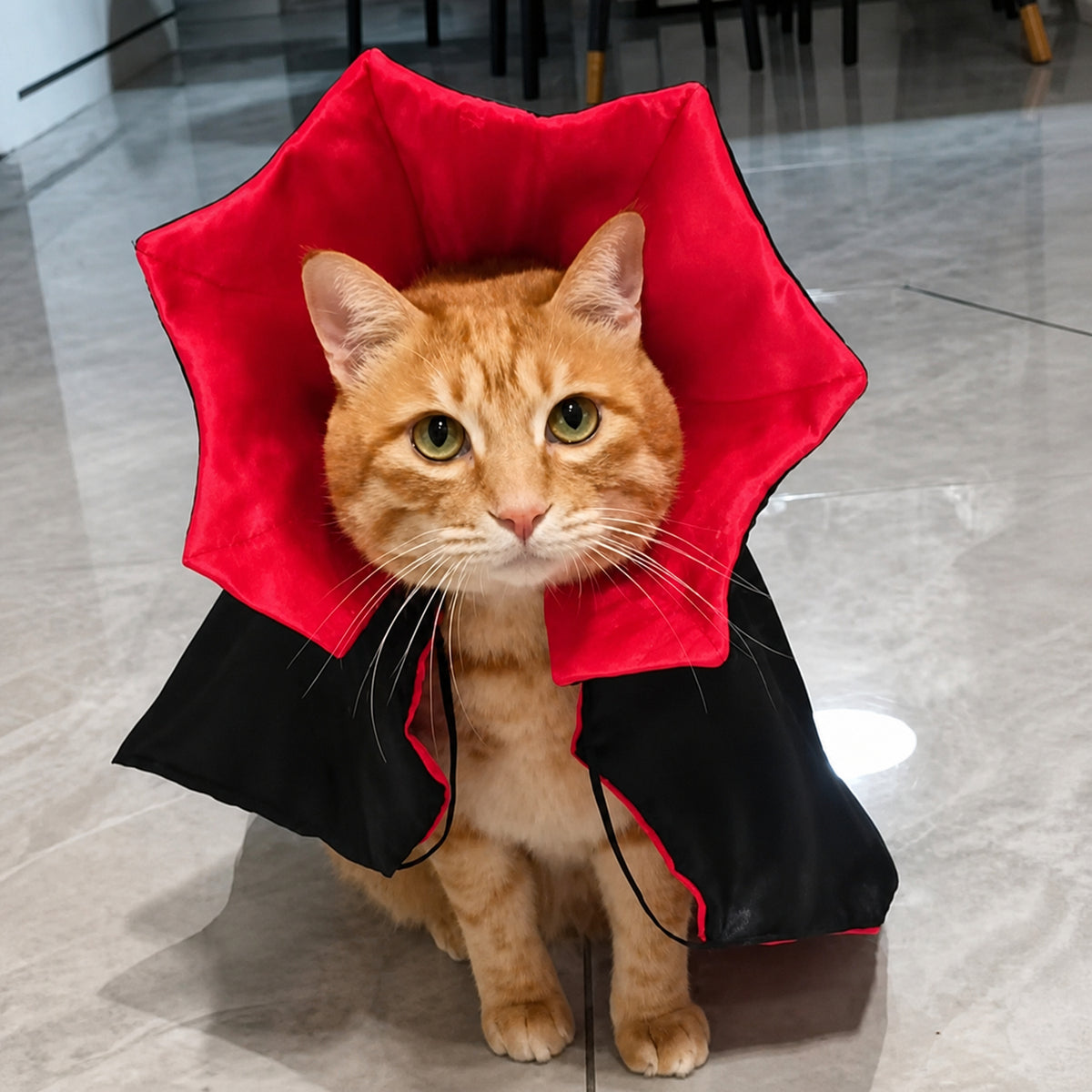 Vampire Cape Pet Costume | Adjustable Halloween Outfit for Dogs & Cats
