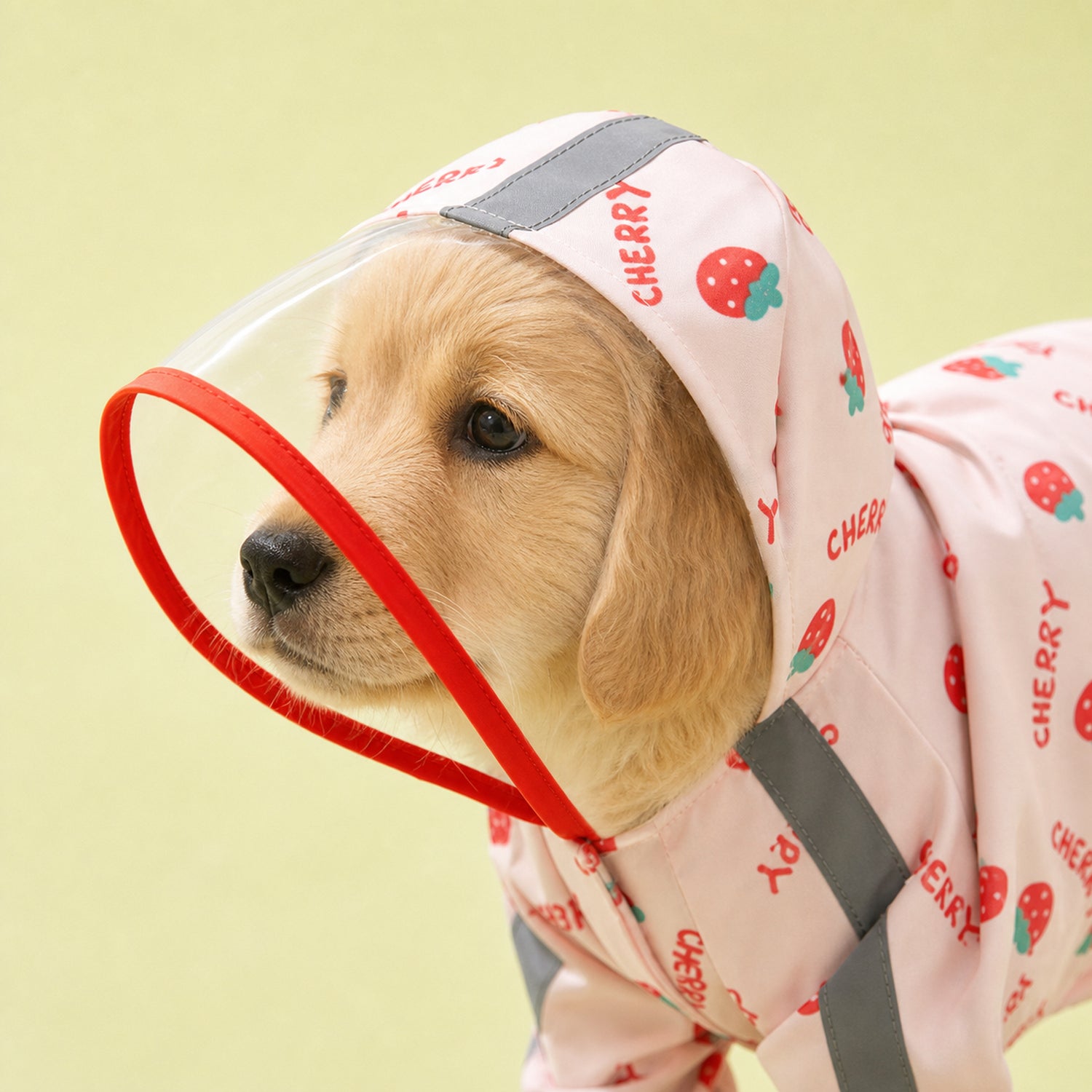 Fruit Print Dog Raincoat | Waterproof Polyester | Full-Coverage Reflective Design