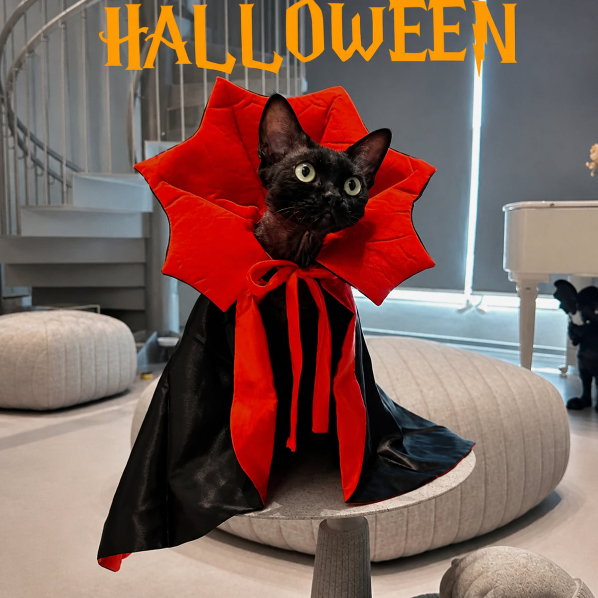 Vampire Cape Pet Costume | Adjustable Halloween Outfit for Dogs & Cats