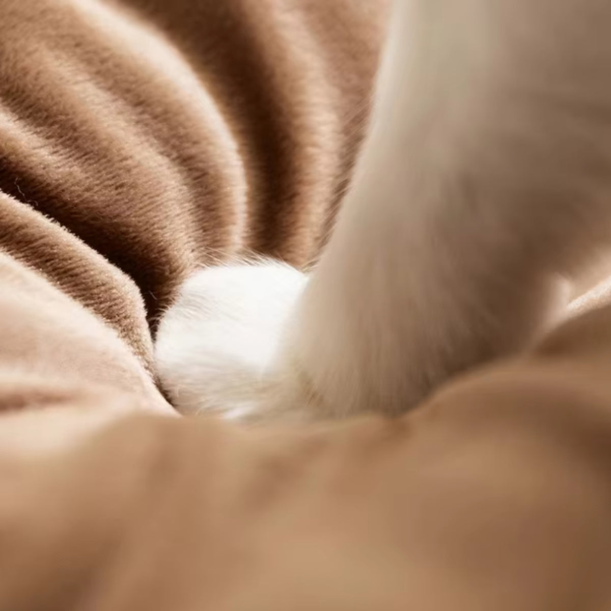 Dog Bed & Cat Bed | Striped Teepee Tent with Removable Cushion