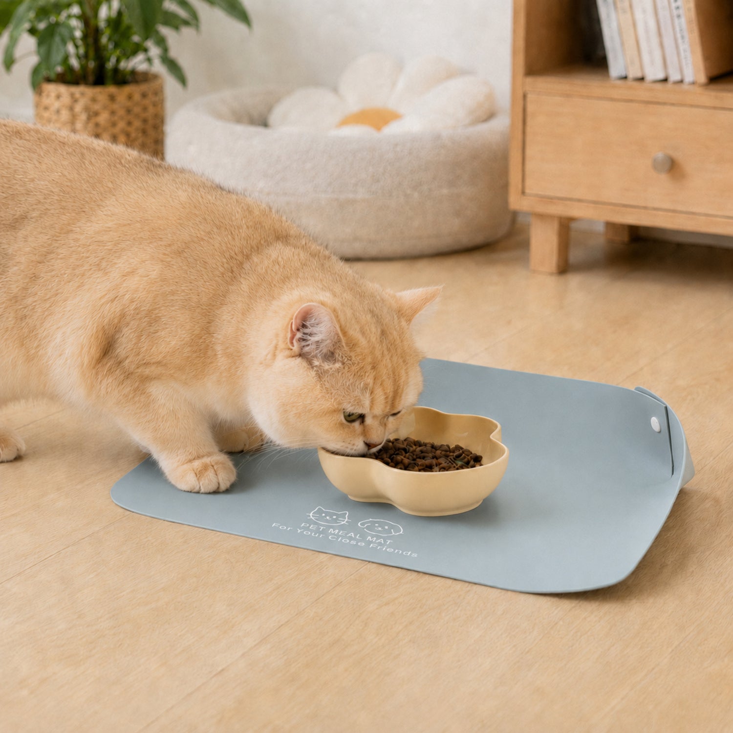 Stay-Clean Pet Feeding Mat | Waterproof Raised Edge | Non-Slip Easy-Clean Design