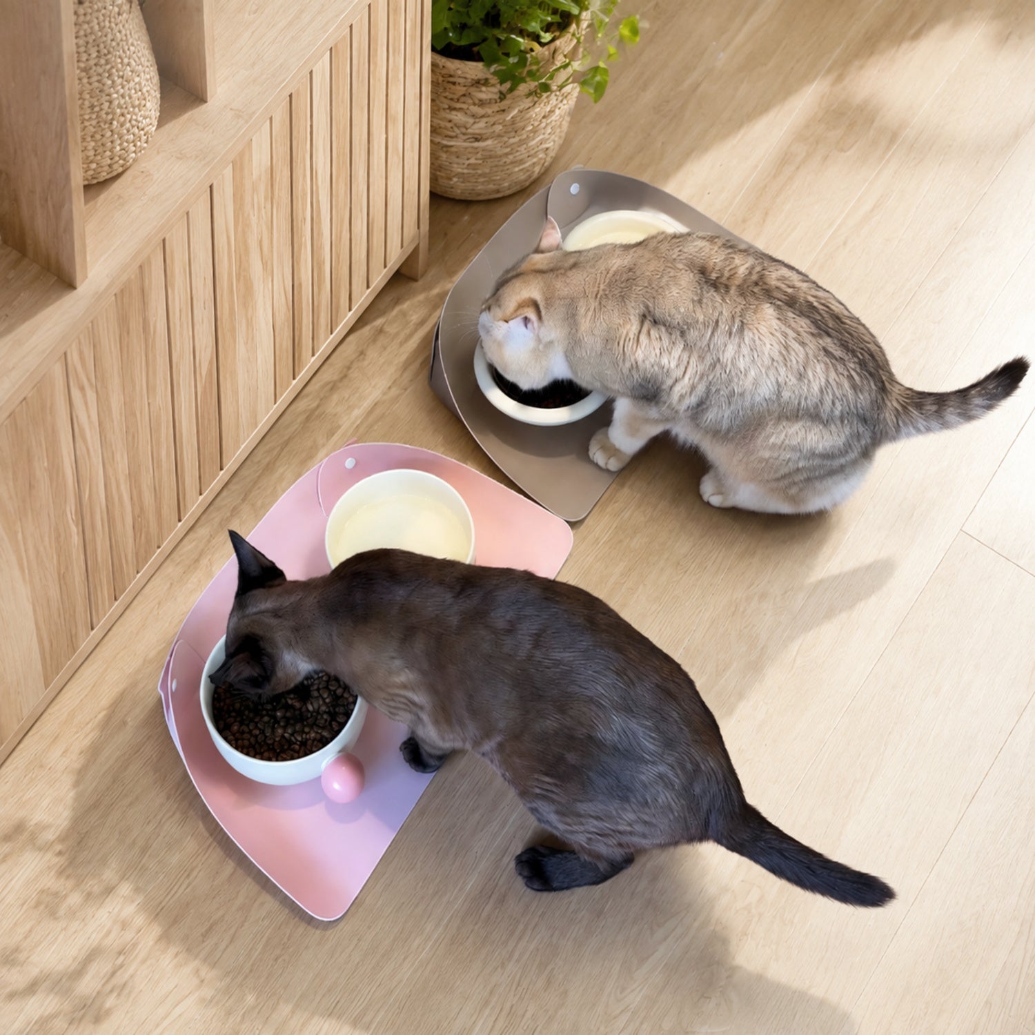 Stay-Clean Pet Feeding Mat | Waterproof Raised Edge | Non-Slip Easy-Clean Design