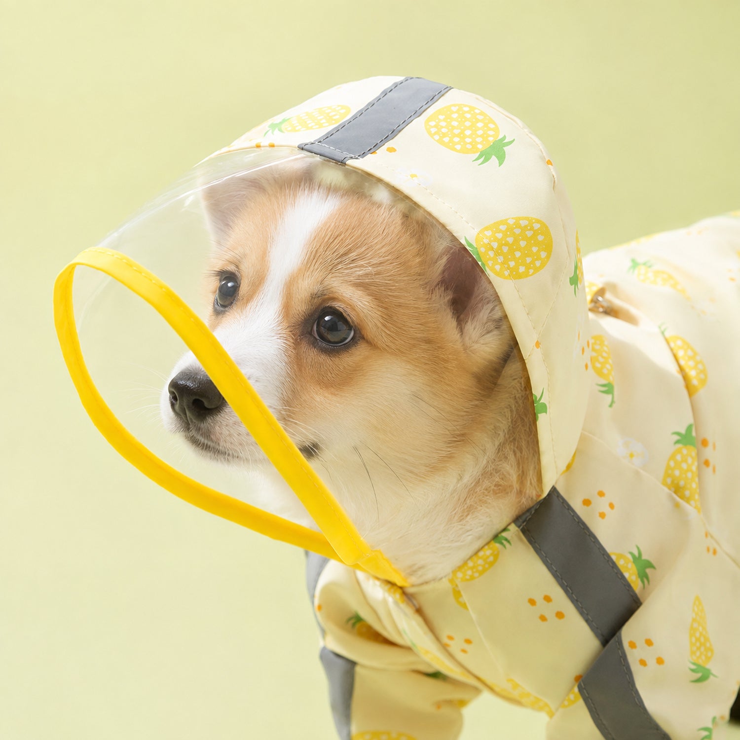 Fruit Print Dog Raincoat | Waterproof Polyester | Full-Coverage Reflective Design