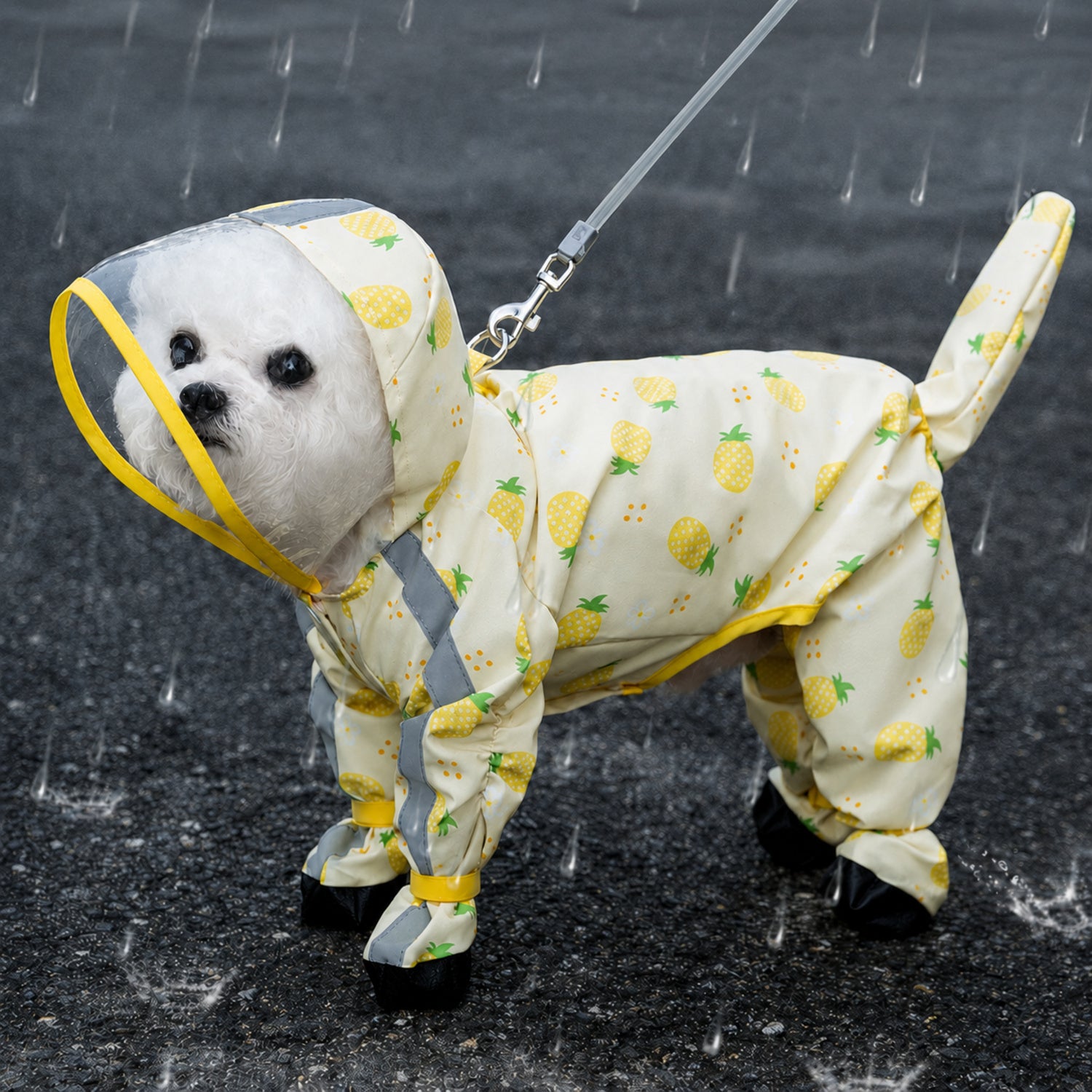 Fruit Print Dog Raincoat | Waterproof Polyester | Full-Coverage Reflective Design