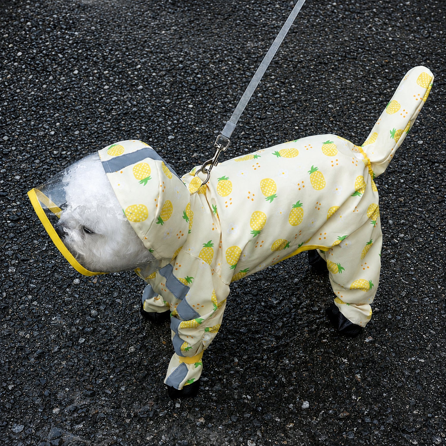 Fruit Print Dog Raincoat | Waterproof Polyester | Full-Coverage Reflective Design