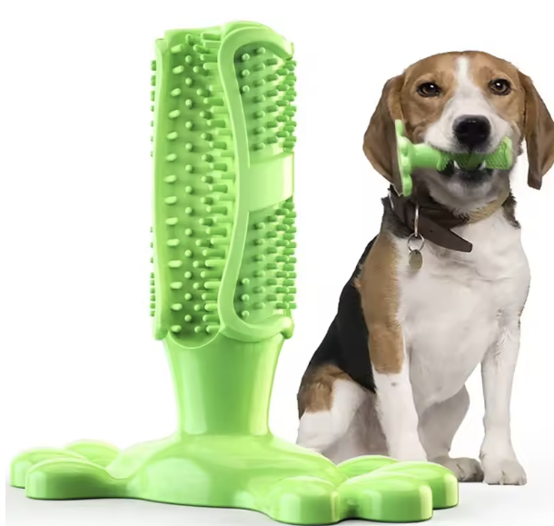 Cactus Dog Chew Toy | Rubber Treat Dispenser | Dental Toothbrush Toy for All Dogs | Woofing Deals