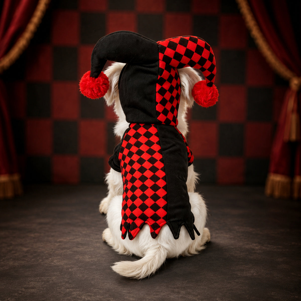 Jester Pet Costume | Red & Black Halloween Fancy Dress for Cats & Small Dogs