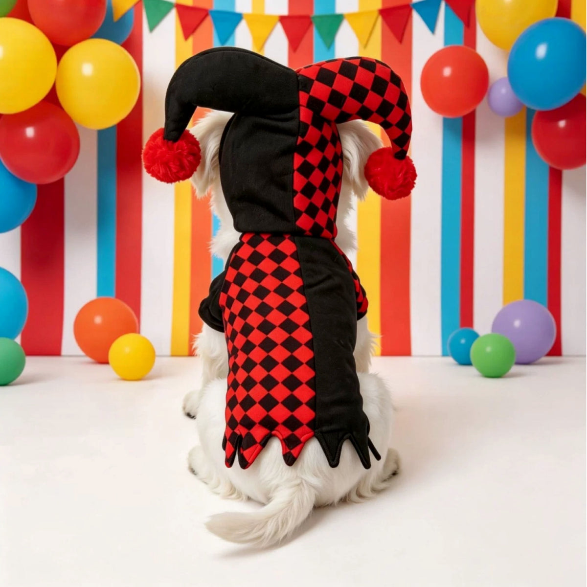 Jester Pet Costume | Red & Black Halloween Fancy Dress for Cats & Small Dogs
