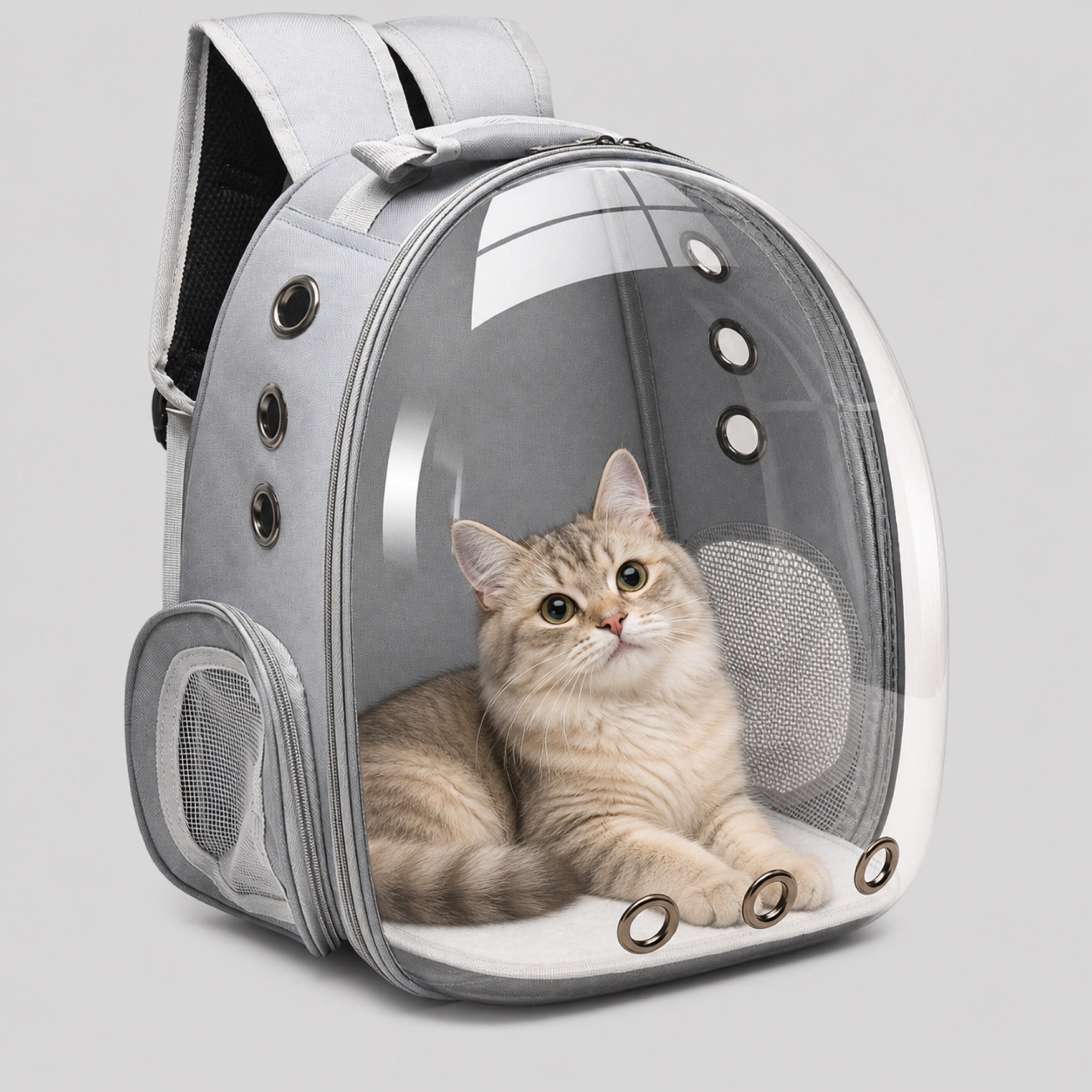 Cat carrier backpack with comfortable cat inside