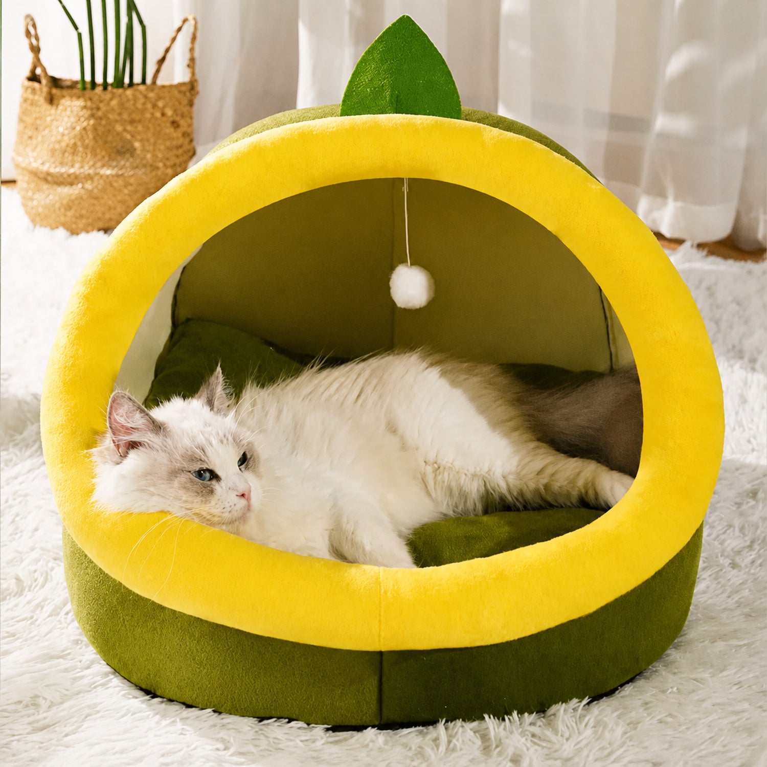 Avocado Pet House | All-Season Plush Bed | Anti-Slip for Small Dogs & Cats
