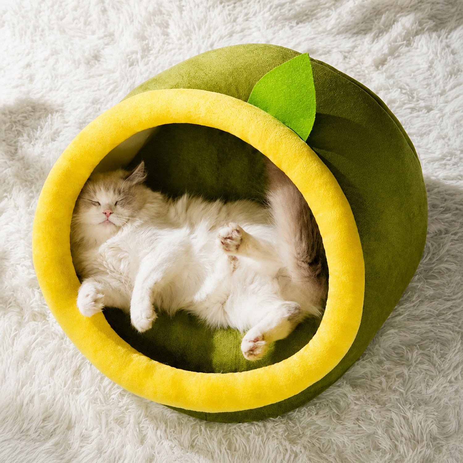 Avocado Pet House | All-Season Plush Bed | Anti-Slip for Small Dogs & Cats