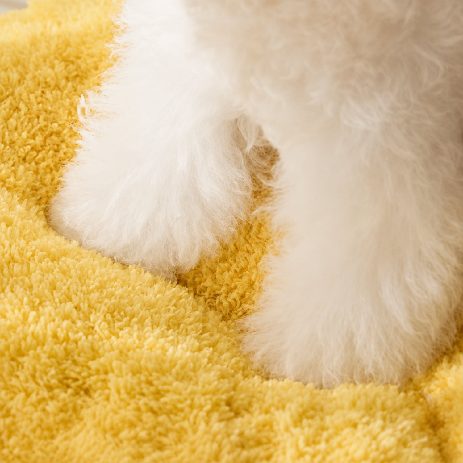 Silly Monster Pet House | Washable Anti-Slip Bed with Removable Cushion