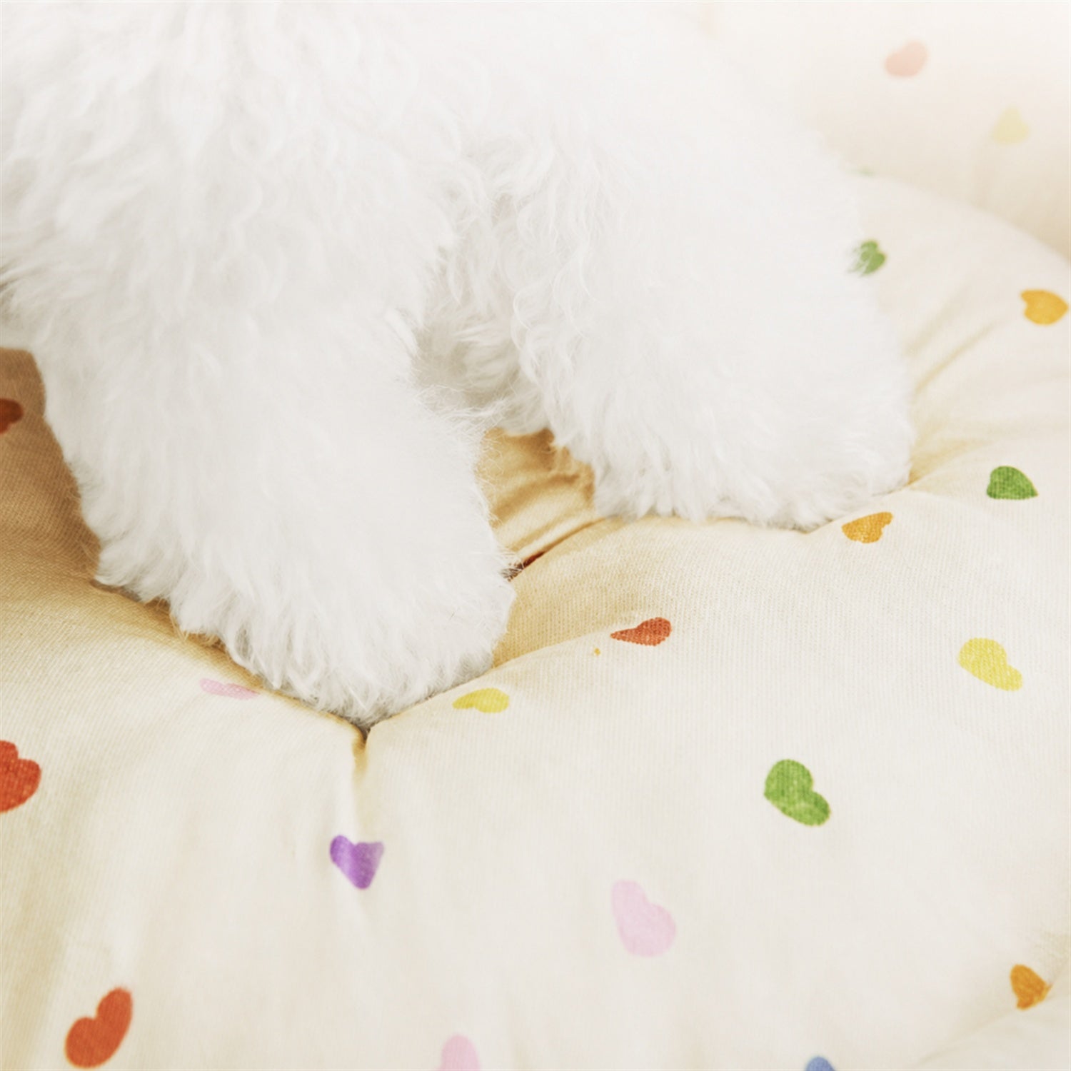 Bow Pet Tent Bed | Cotton Blend | Washable Hideaway for Cats & Small Dogs