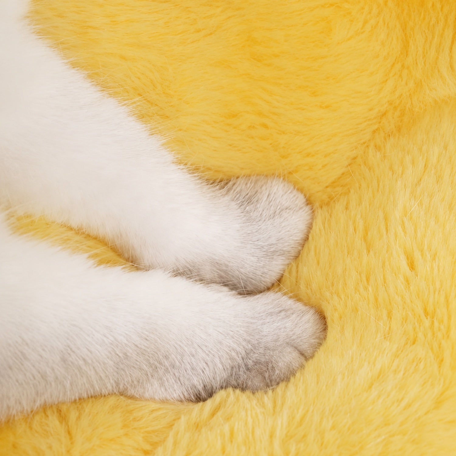 Pumpkin Enclosed Pet Bed | Plush Winter Hideaway | Non-Slip for Cats & Small Dogs