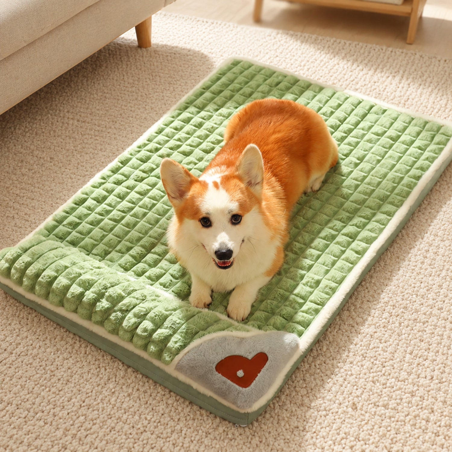 All-Season Bolster Pet Mat | Thick Foam Bed | Washable Cover for Dogs & Cats