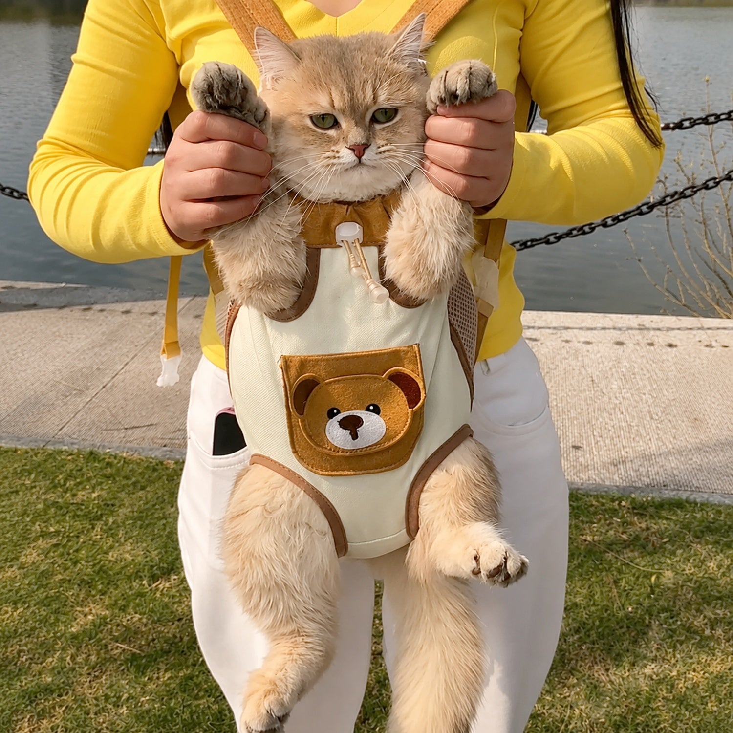 Teddy Bear Pet Carrier Backpack | Breathable Hands-Free Design | Cats & Small Dogs