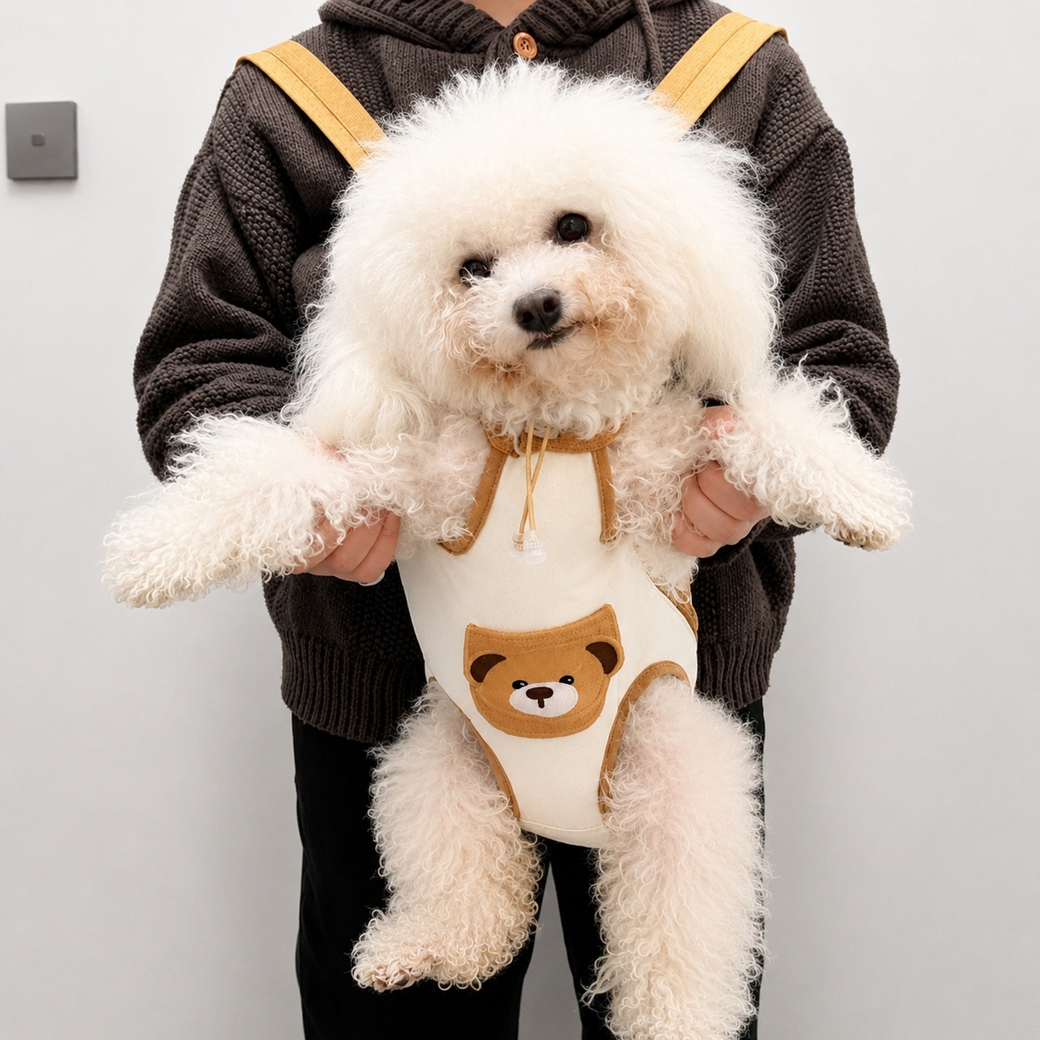 Teddy Bear Pet Carrier Backpack | Breathable Hands-Free Design | Cats & Small Dogs