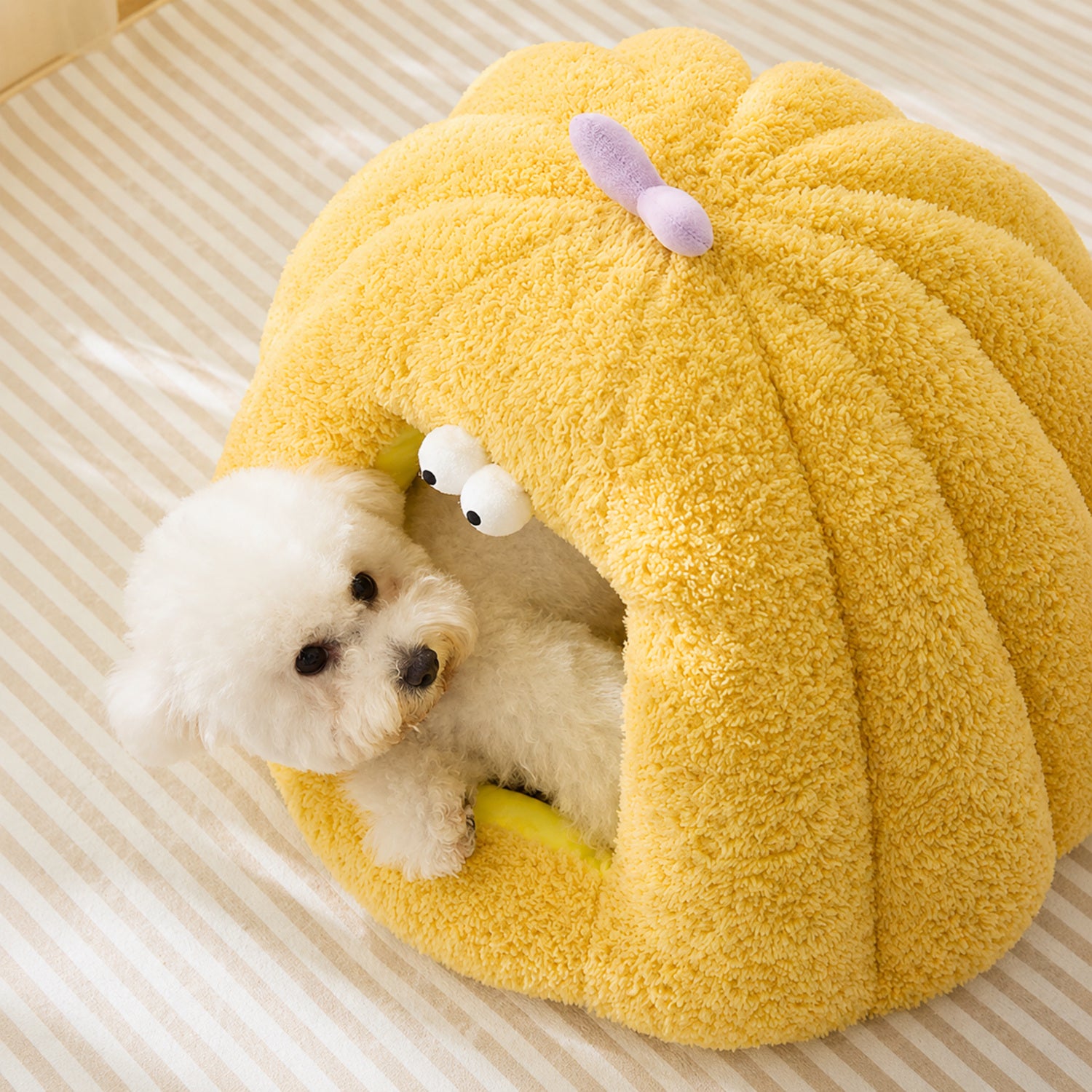 Silly Monster Pet House | Washable Anti-Slip Bed with Removable Cushion