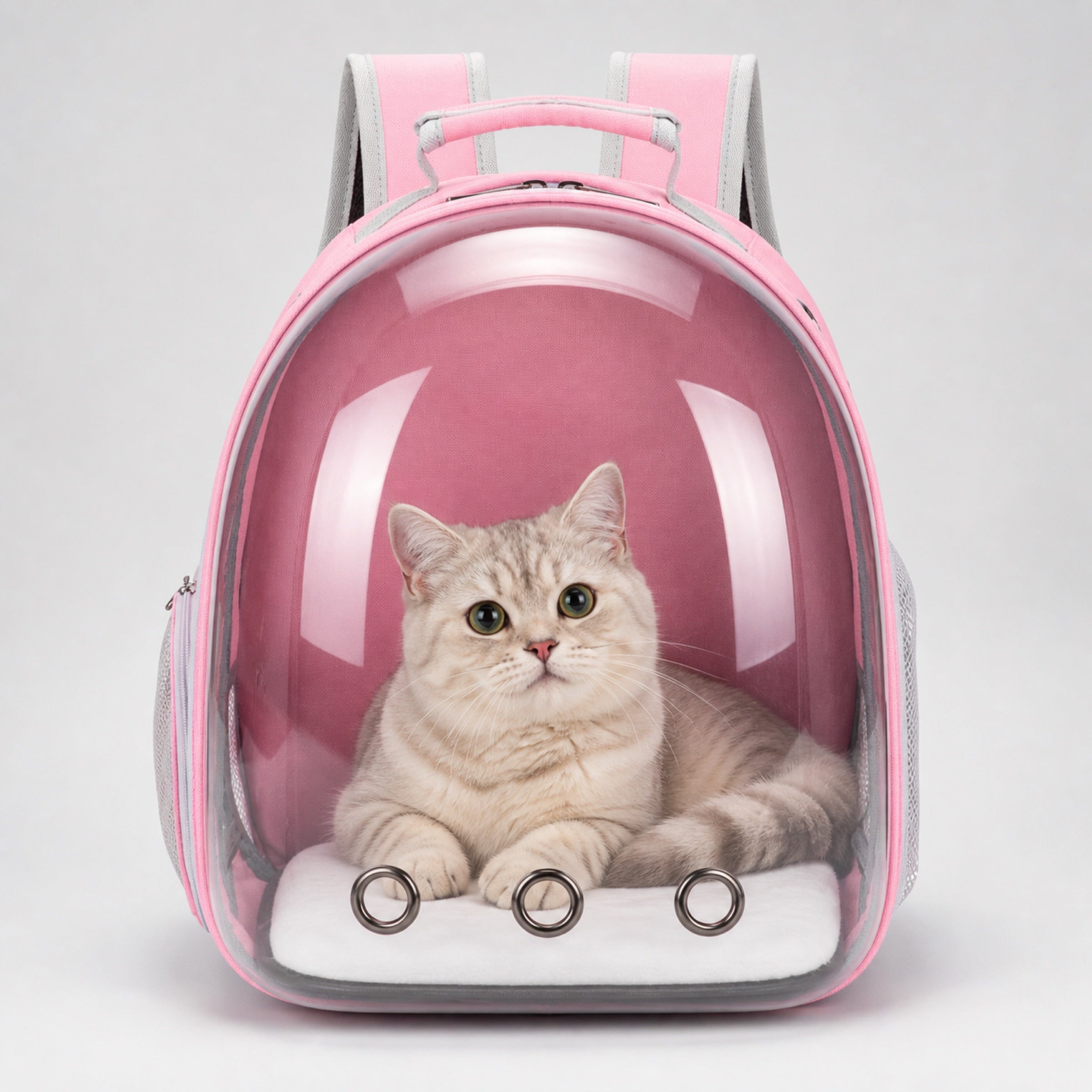 Pink cat carrier backpack with comfortable cat inside