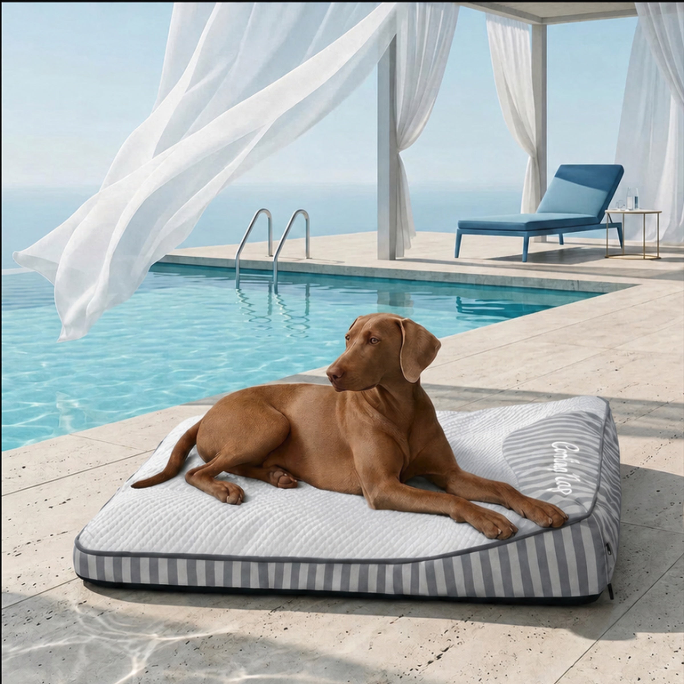 Dog lying on a striped cooling pet bed by a poolside with ocean view.