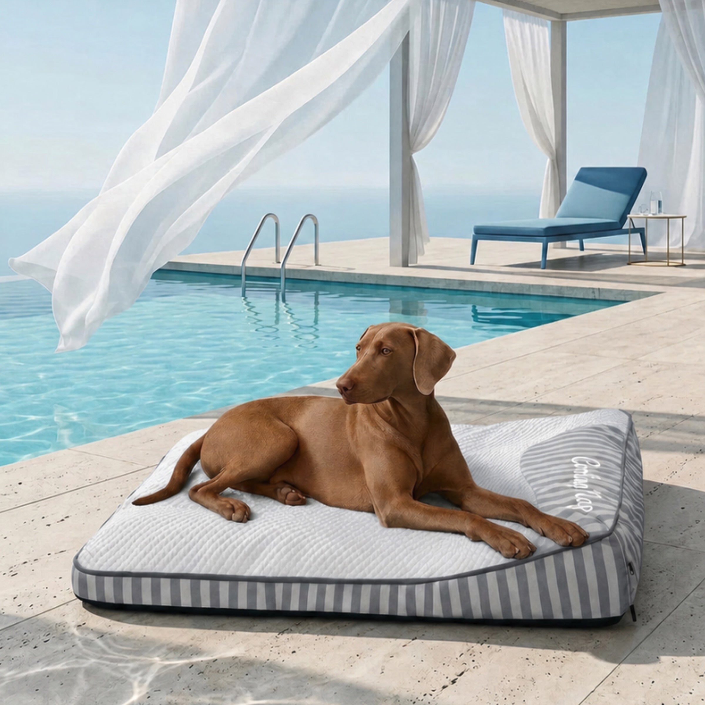 Cooling Orthopedic Dog Bed | Ice Silk Summer Bed | Memory Foam Joint Support | Washable Cover | Non-Slip | for Senior Dogs