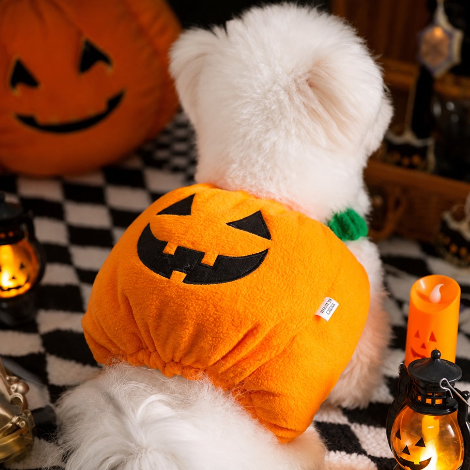 Pumpkin Pet Costume | Warm Cotton Halloween Outfit for Cats & Small Dogs