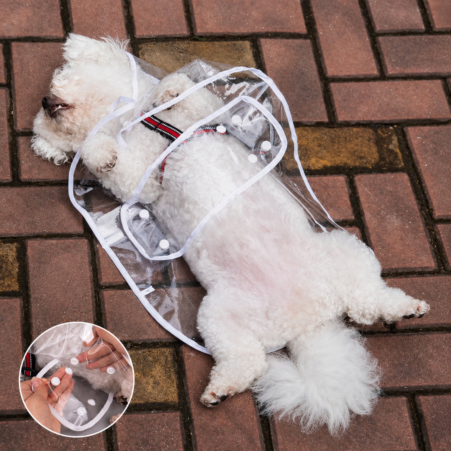 Transparent Dog Raincoat | Waterproof EVA | Clear Hood & Adjustable Press-Stud Fit