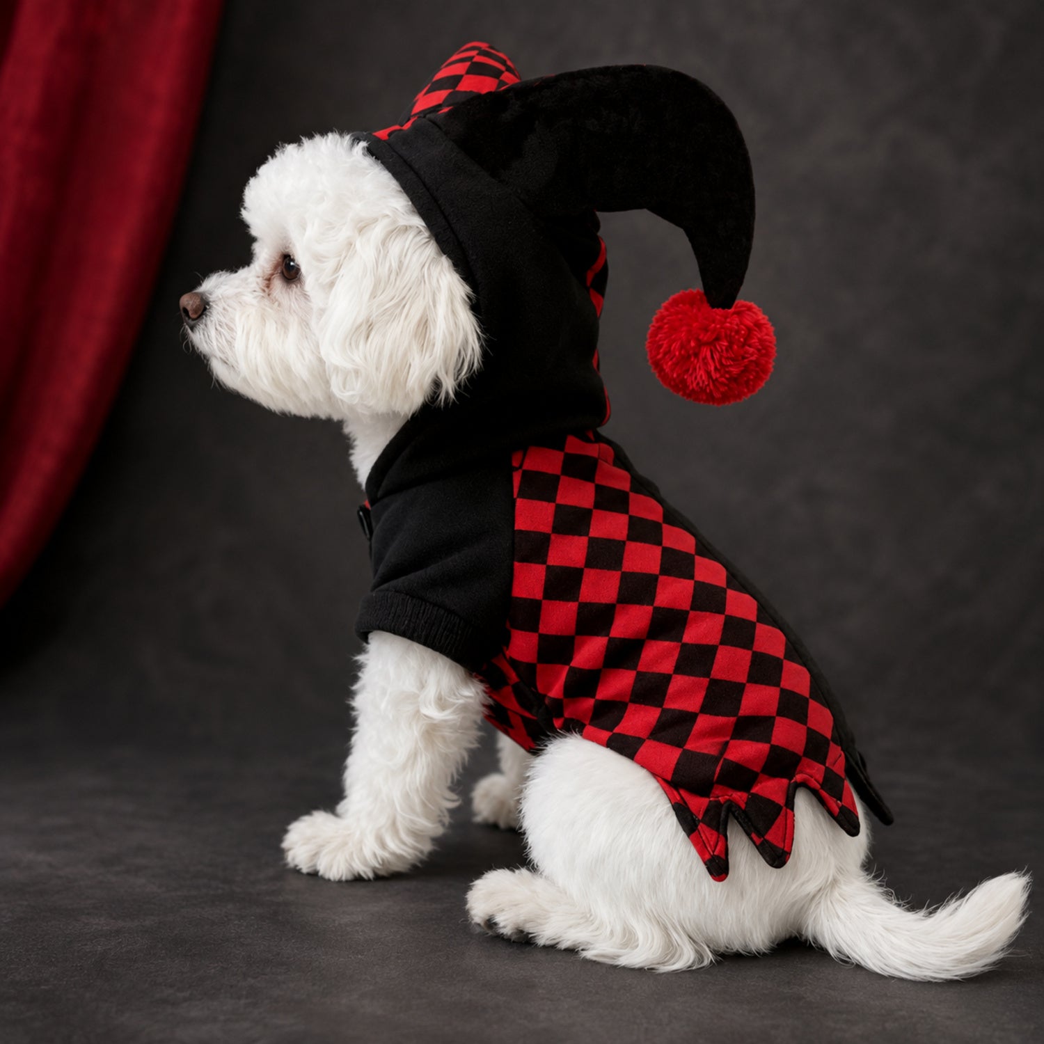 Jester Pet Costume | Red & Black Halloween Fancy Dress for Cats & Small Dogs