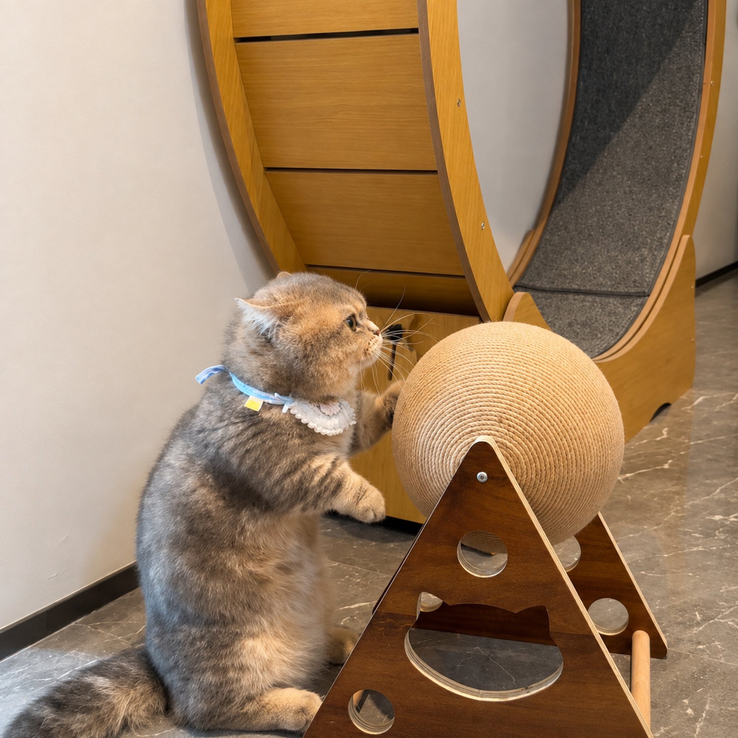 Rolling Ball Cat Scratcher | Interactive Exercise Toy | Stable Wooden Frame