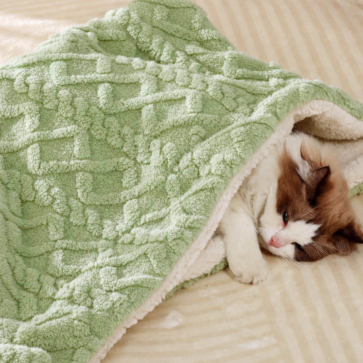 Reversible Plush Pet Blanket | Warm Washable Winter Mat for Dogs & Cats
