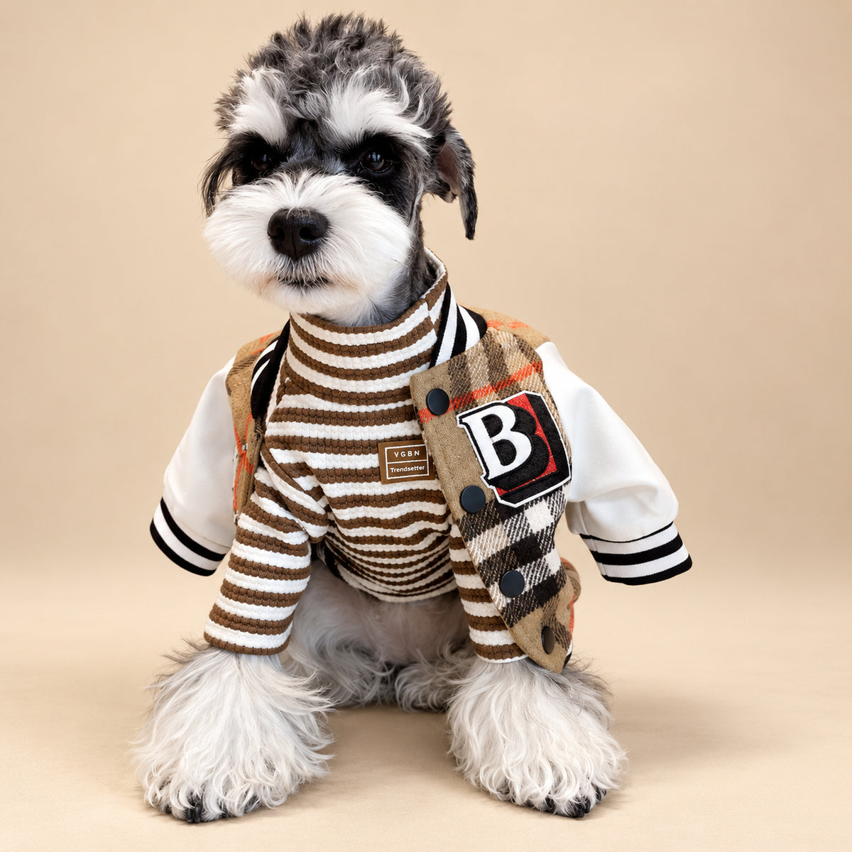 Dog Coat | Baseball Jacket & Separate Base Layer | Autumn & Winter