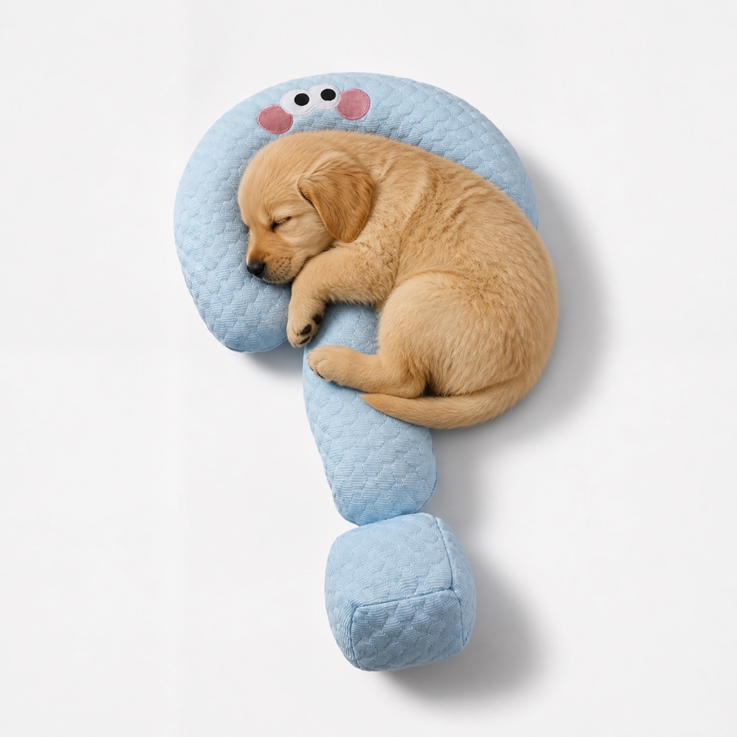 Cooling Dog Pillow | Ice Silk Question Mark Support Cushion