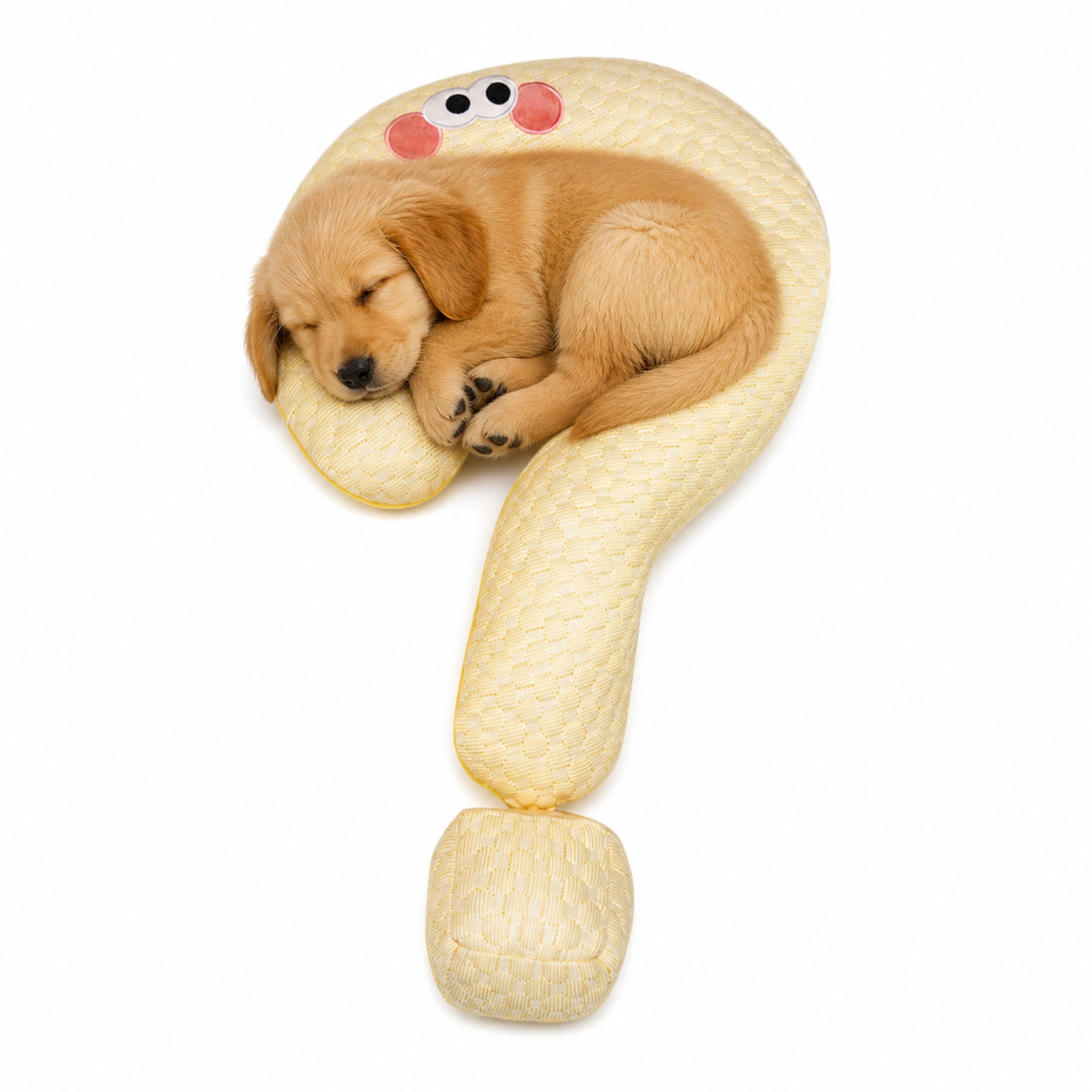 Cooling Dog Pillow | Ice Silk Question Mark Support Cushion