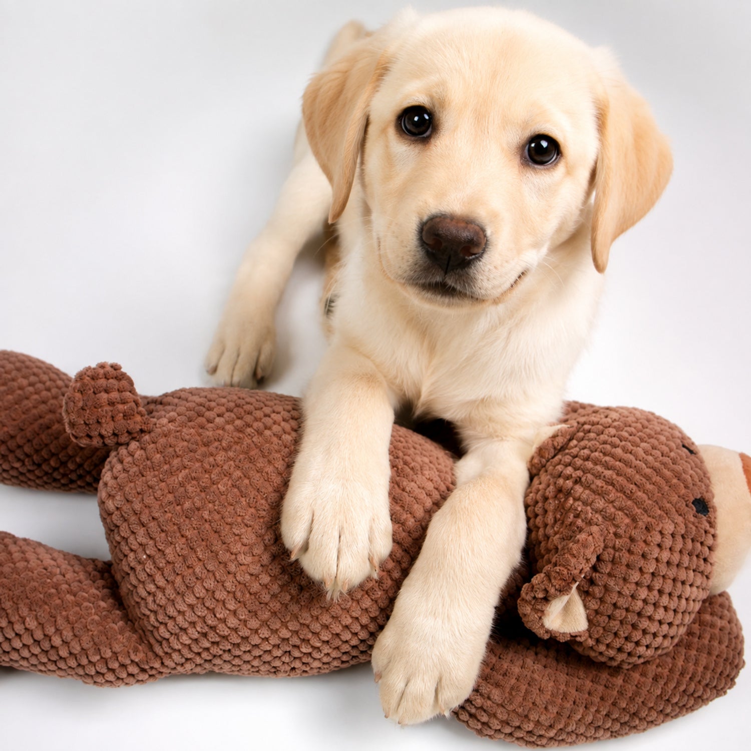 Teddy Bear Squeaky Pet Toy | Soft Plush Design for Dogs & Cats