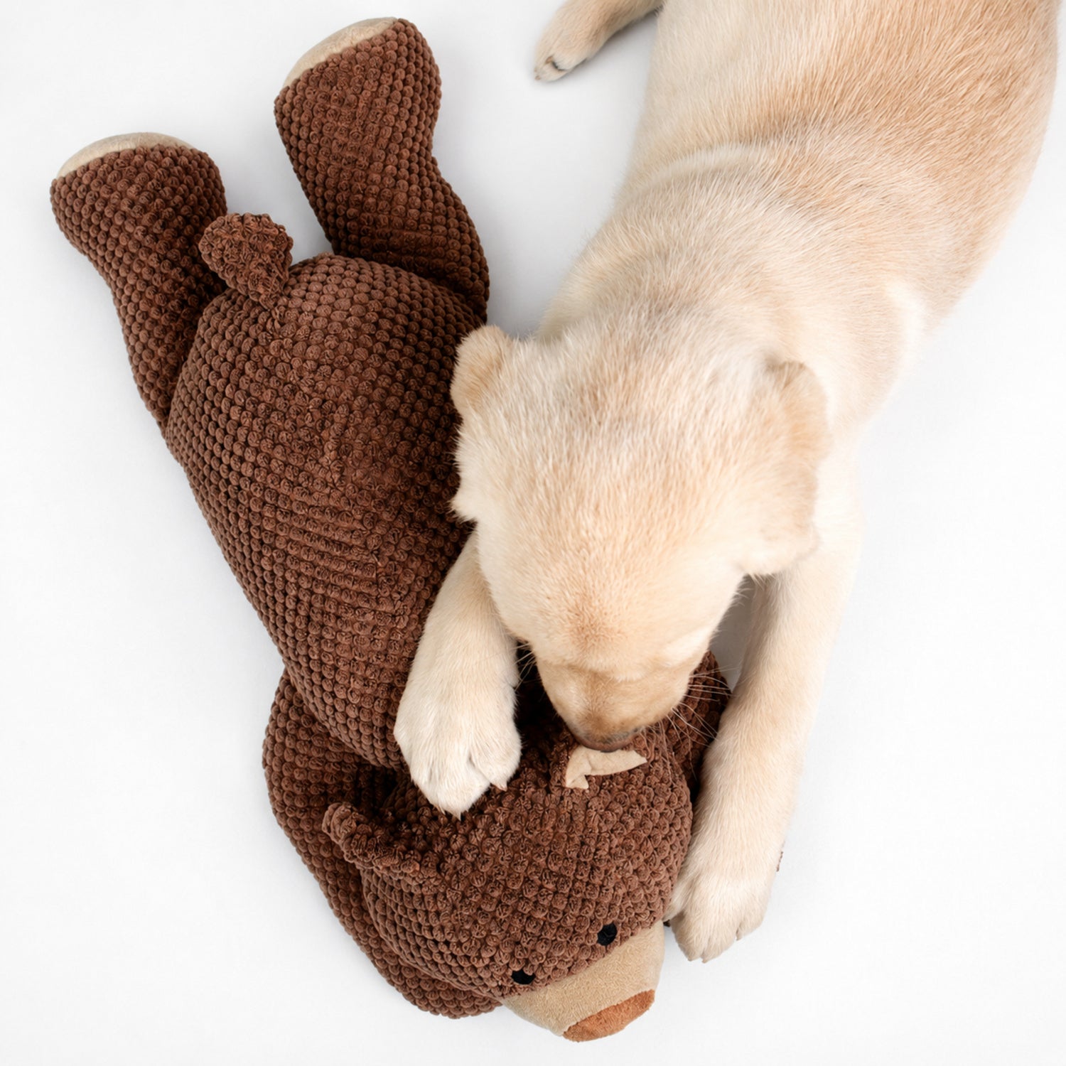 Teddy Bear Squeaky Pet Toy | Soft Plush Design for Dogs & Cats