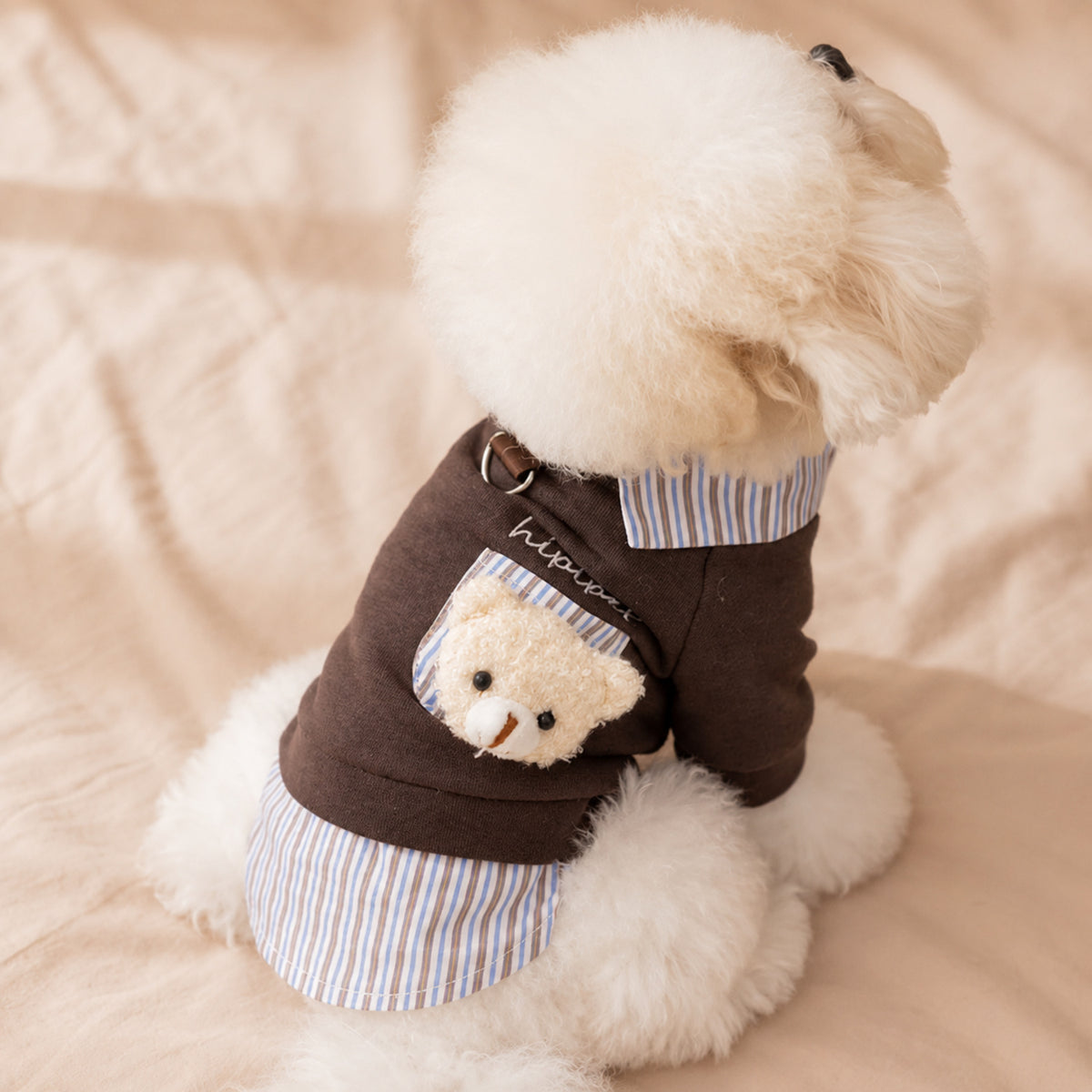 Teddy Bear Pocket Pet Coat | Striped Collar | Cosy Layered-Look Outfit