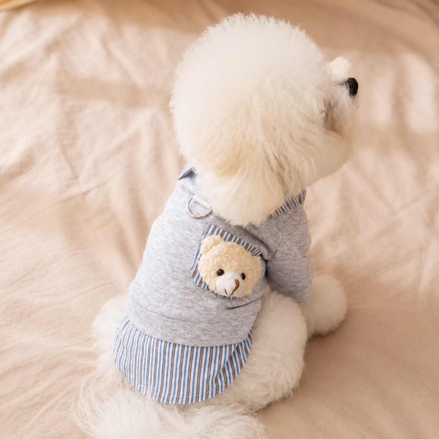 Teddy Bear Pocket Pet Coat | Striped Collar | Cosy Layered-Look Outfit