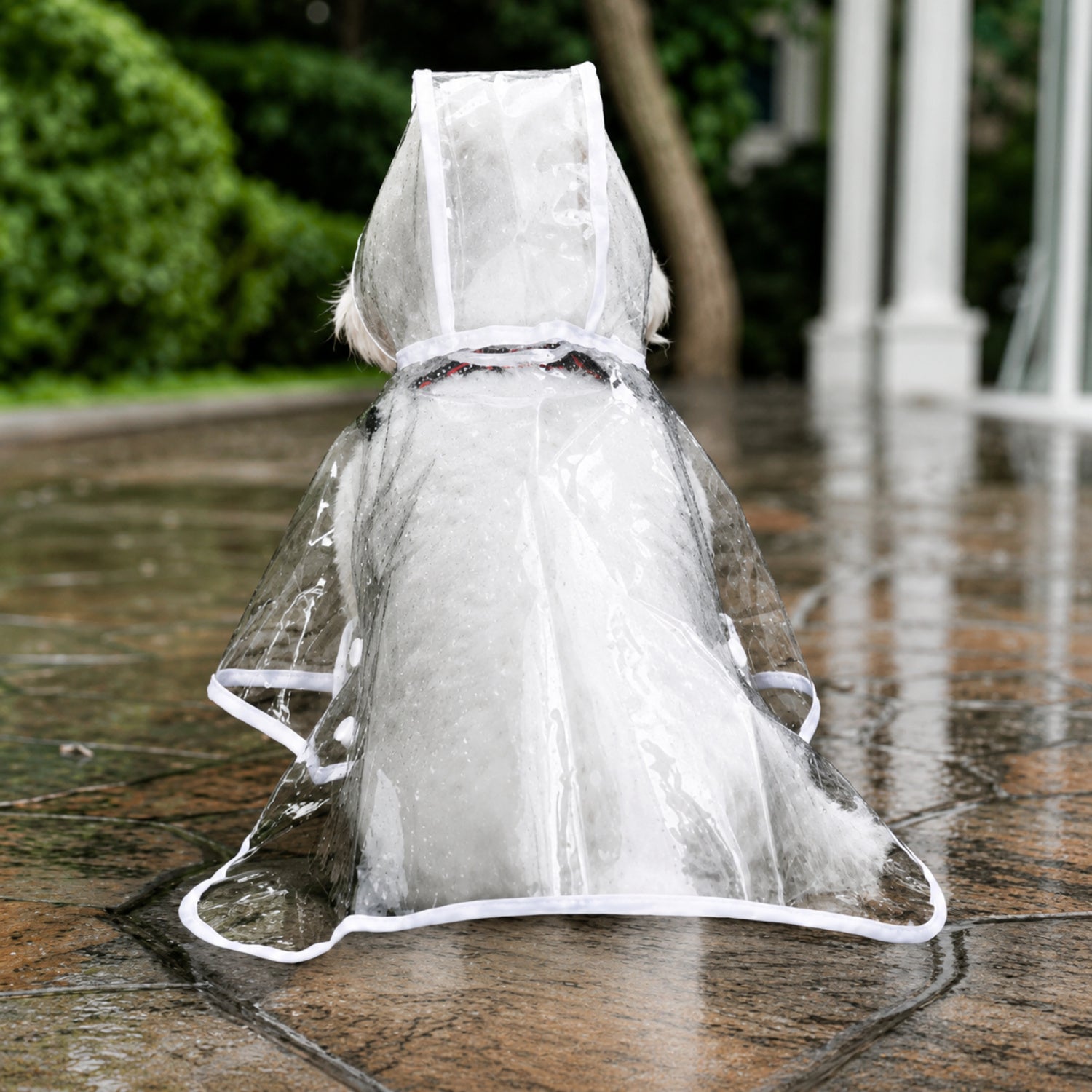 Transparent Dog Raincoat | Waterproof EVA | Clear Hood & Adjustable Press-Stud Fit