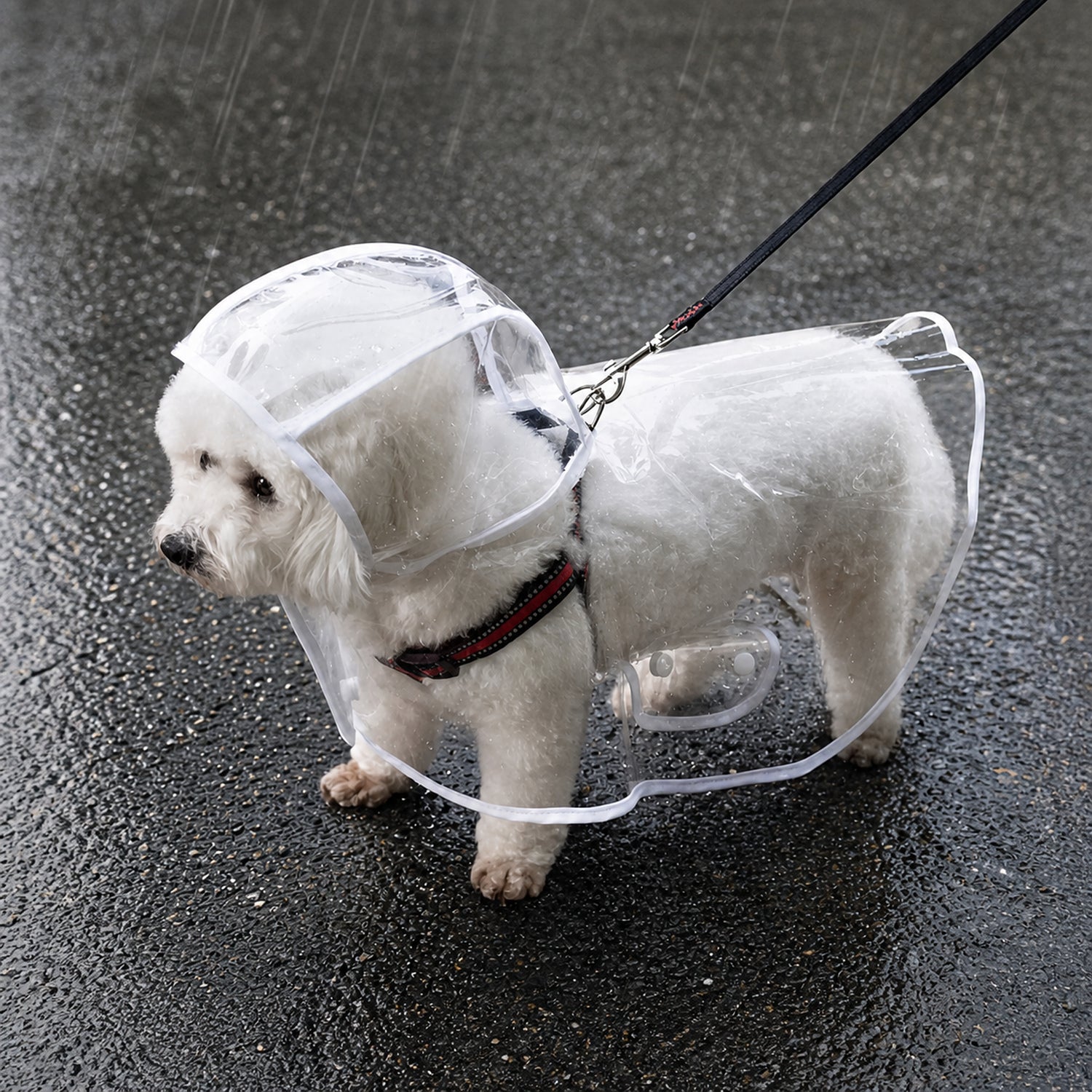 Transparent Dog Raincoat | Waterproof EVA | Clear Hood & Adjustable Press-Stud Fit