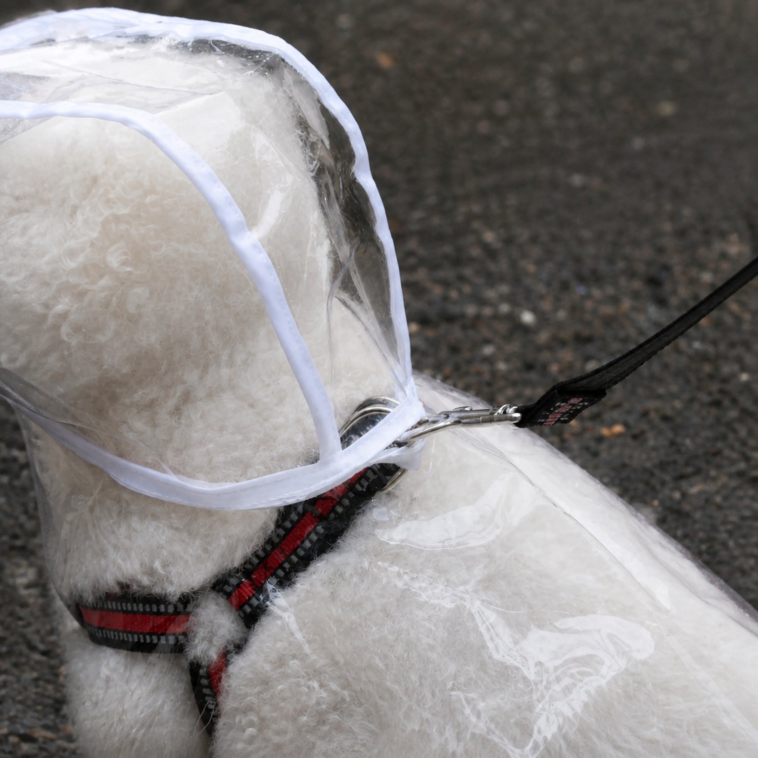Transparent Dog Raincoat | Waterproof EVA | Clear Hood & Adjustable Press-Stud Fit