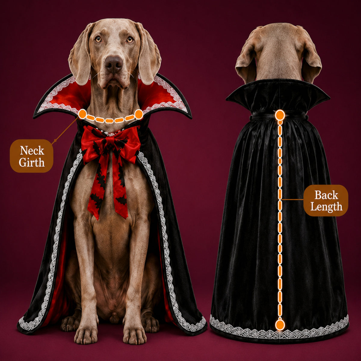 Vampire Pet Costume | Halloween Cape with High Collar for Dogs & Cats