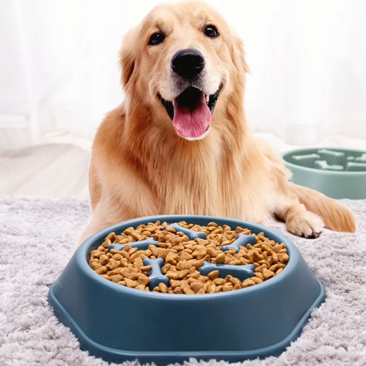 Slow Feeder Dog Bowl | Anti Choking Design | Non Slip Base | Easy Clean PP Food Dish | Woofing Deals