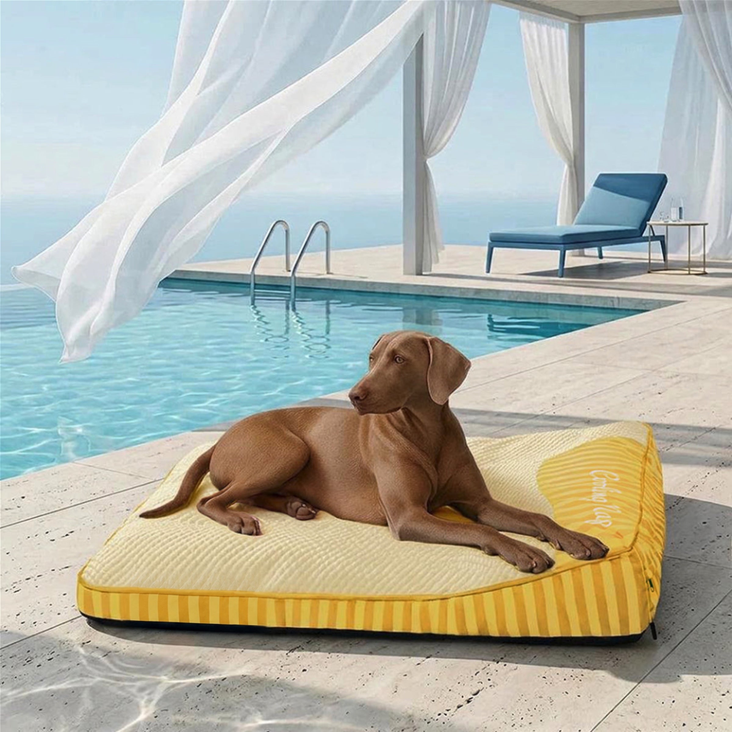 Cooling Orthopedic Dog Bed | Ice Silk Summer Bed | Memory Foam Joint Support | Washable Cover | Non-Slip | for Senior Dogs
