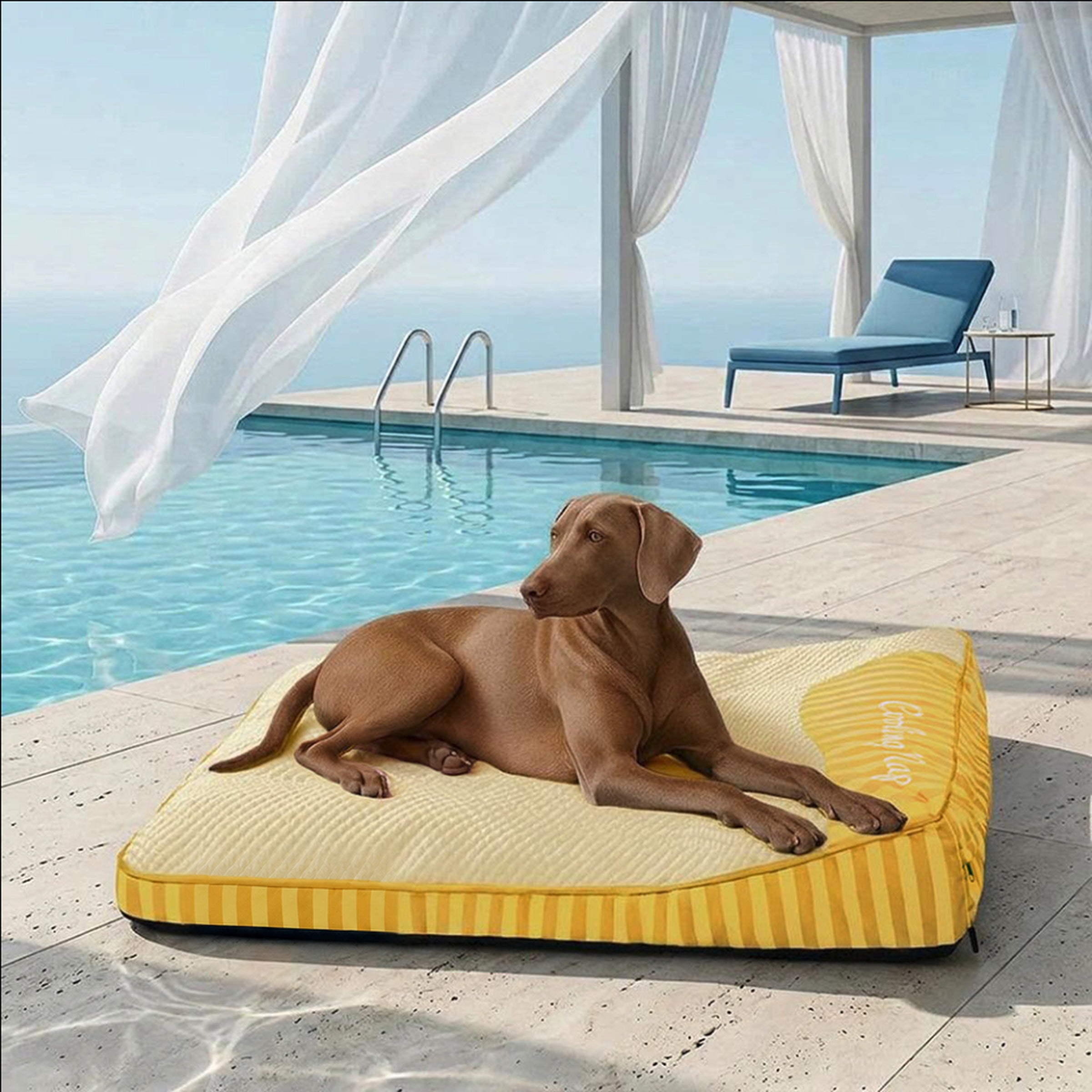 Dog lying on a yellow striped cooling pet bed by a poolside with ocean view.